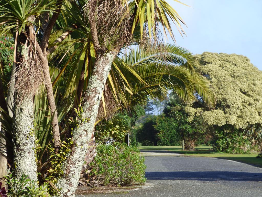 Carters Beach Top 10 Holiday Park Westport Exterior photo