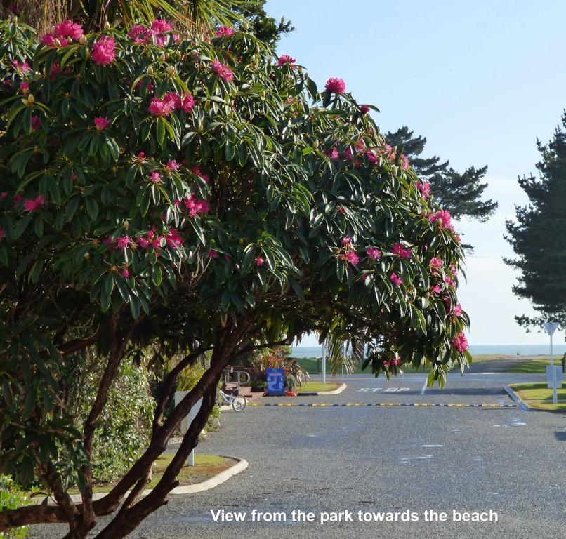 Carters Beach Top 10 Holiday Park Westport Exterior photo